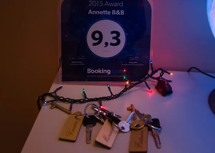 Oda ve Kahvaltı Annette 4*